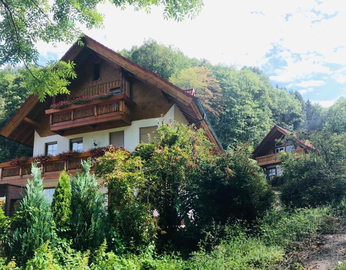 Haus Sigmund Apartment Оберхармерсбах Екстериор снимка