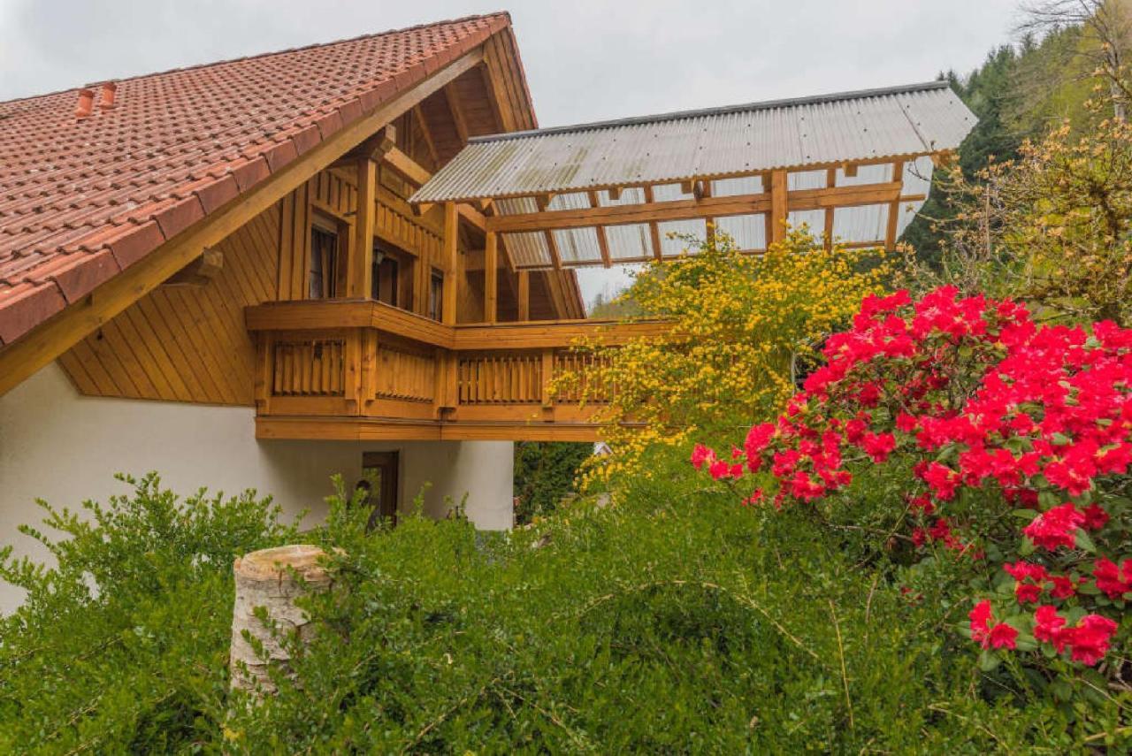 Haus Sigmund Apartment Оберхармерсбах Екстериор снимка